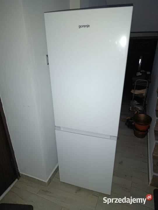 Lodówka Gorenje RK4161PW4 z zamrażalnikiem Brzyska