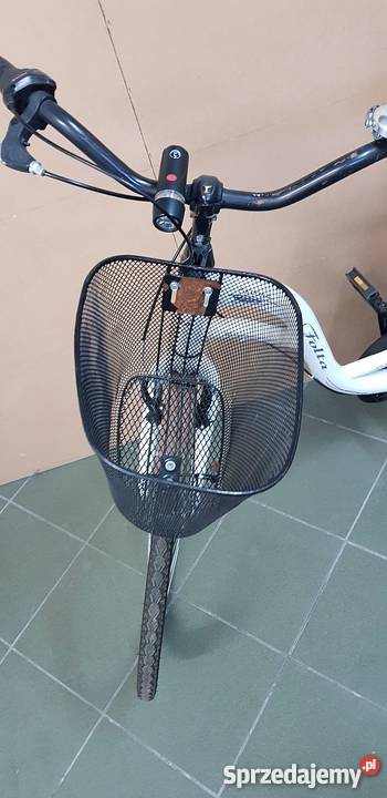 Rower holenderski Folta Sedona Swan 2 Gdańsk