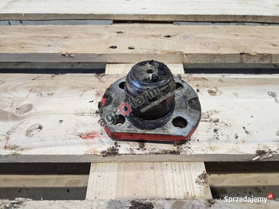 Sworzeń zwrotnicy dolny McCormick ZTX 280 230 dolnośląskie Byków