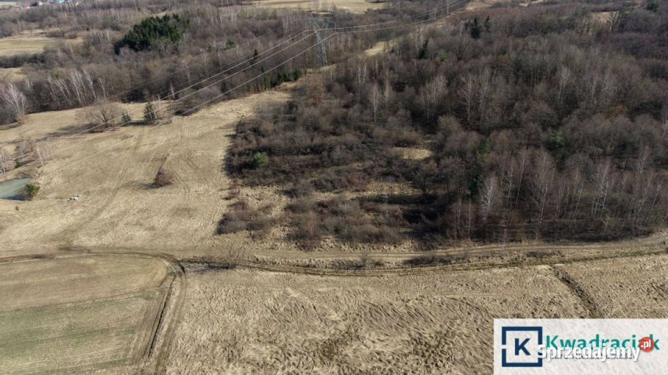 Działka Lutcza 4000m2 rolna sprzedam