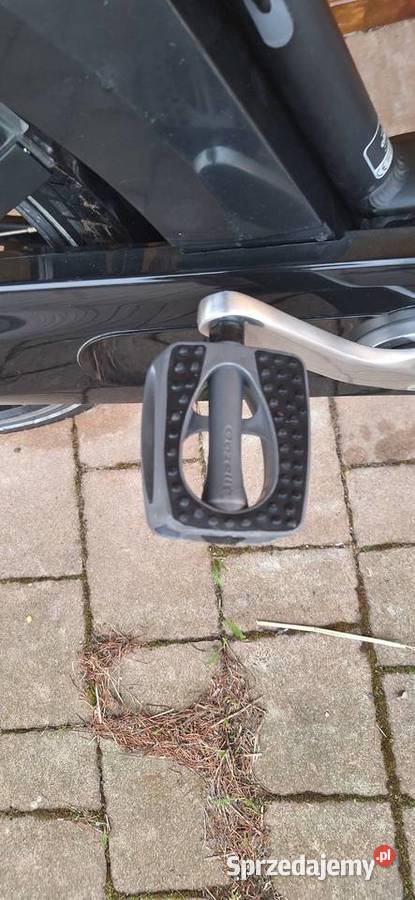 Gazelle arroyo bateria 15AhPrzetestowana w Elektryczne Dynów