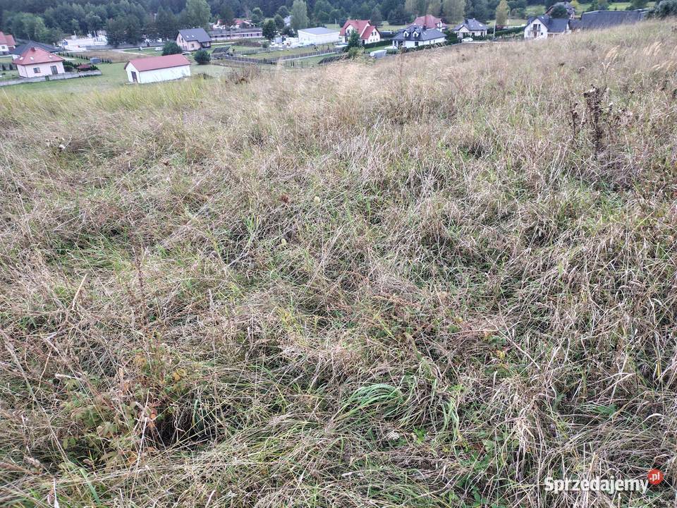 działki budowlane budowlana świętokrzyskie Morawica
