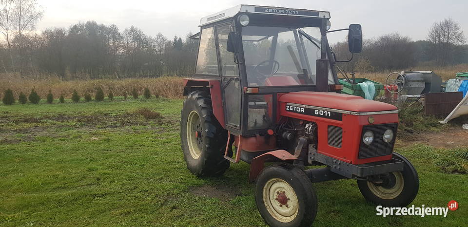 Zetor 6011 Skwierzyna - Sprzedajemy.pl
