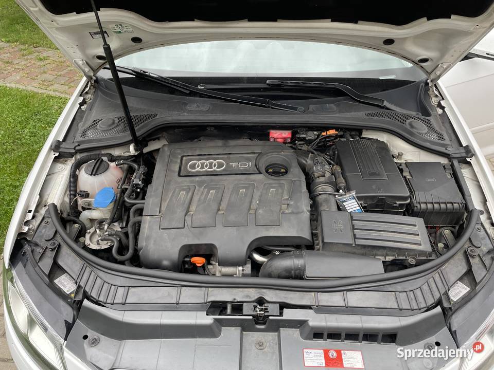 Audi A3 8P 2010r 16 TDI 105 automatyczna Paszowice