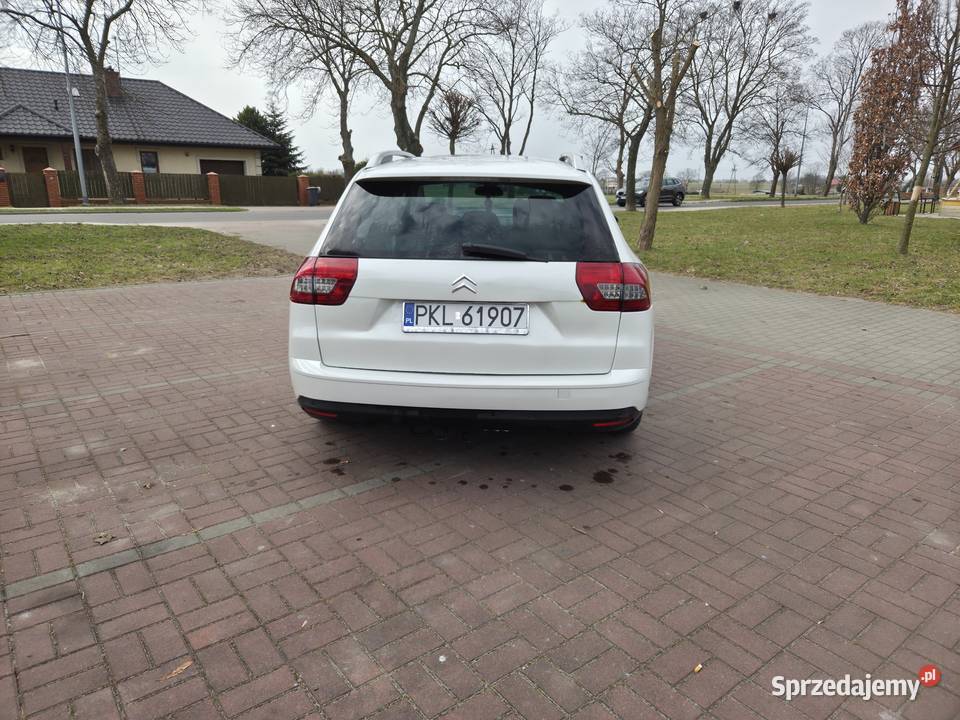Citroen C5 20 HDI Exclusive biały Kłodawa