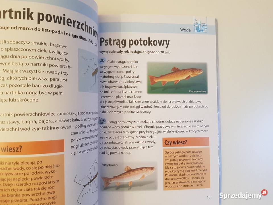 Jakie to zwierzę Mój pierwszy przewodnik Szczecin