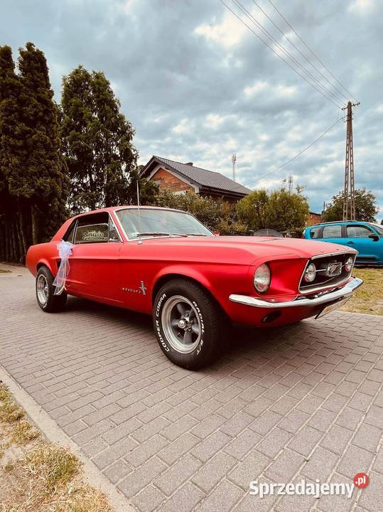 Sprzedam zamienię Ford Mustang 67 47 Słupca
