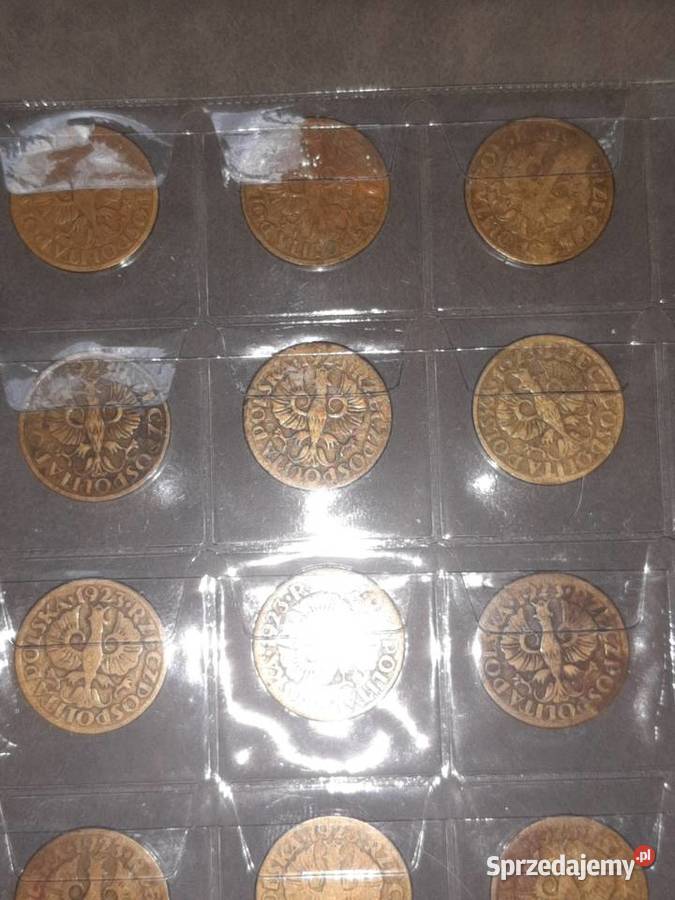 5 Groszy Kolekcje Bielsko-Biała