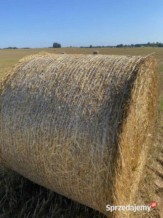 Słoma w belach 120 do 200 Sejny