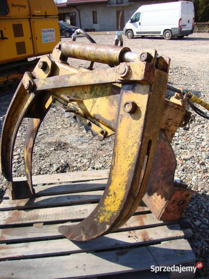 kleszcze zrywkowe Pozostałe mazowieckie Czaplinek