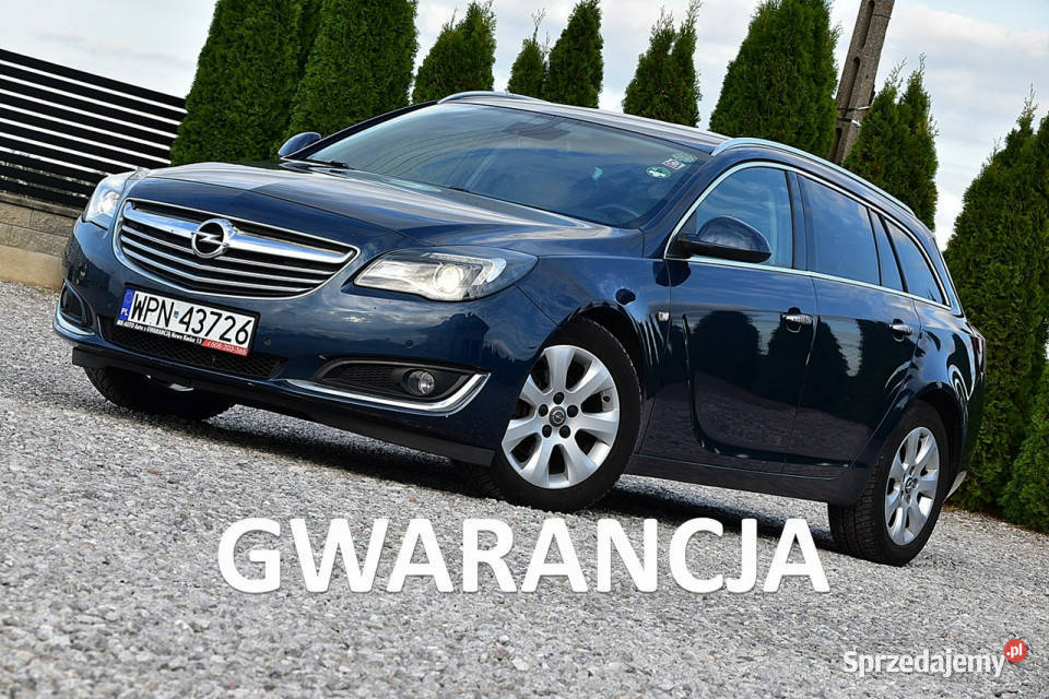 Opel Insignia 20cdti Executive PółSkóra Navi Led światła przeciwmgielne Nowe Kucice