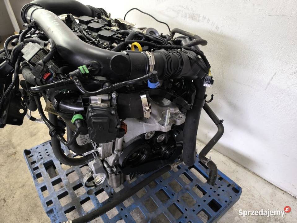 SILNIK KOMPLETNY FORD FIESTA MK7 LIFT 10 SFJC osobowe sprzedam