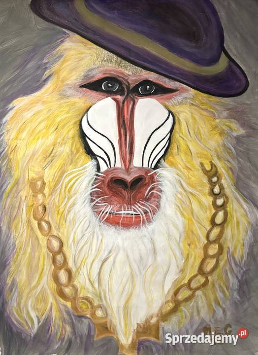 Zbój abstrakcja małpy Duszniki-Zdrój