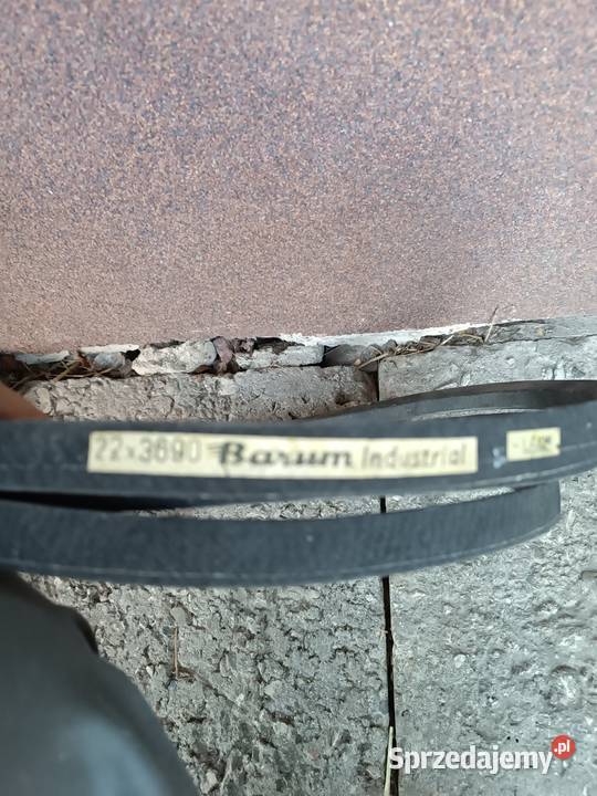 Pasek klinowy 22 x3690 Wielmoża