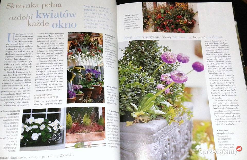 Ogród w doniczkach Readers Digest Chełm