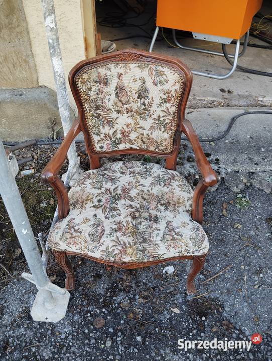 Fotele w stylu ludwikowskim Fotele