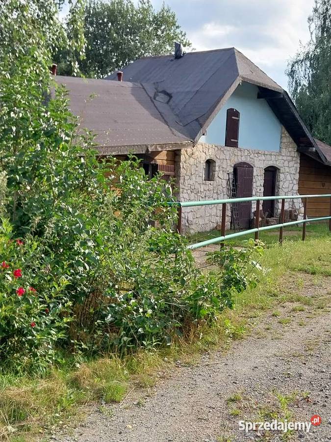 Sprzedam siedlisko rzeką Wręczyca Mała sprzedam
