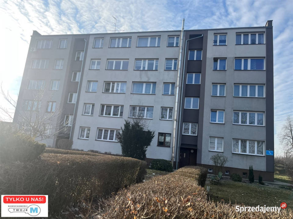 Mieszkanie Jędrzejów 46m2 2 pokoje