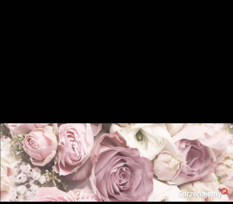 Glamour Flower A 25 x 75 Ceramika Color płytki Białogard