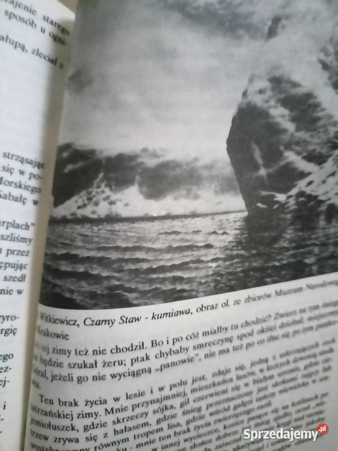 Zakopane w zimie książki Witkiewicz księgarnia Warszawa