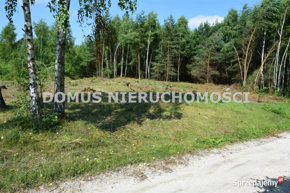 Grunt na sprzedaż Taurów 29000m2 sprzedam