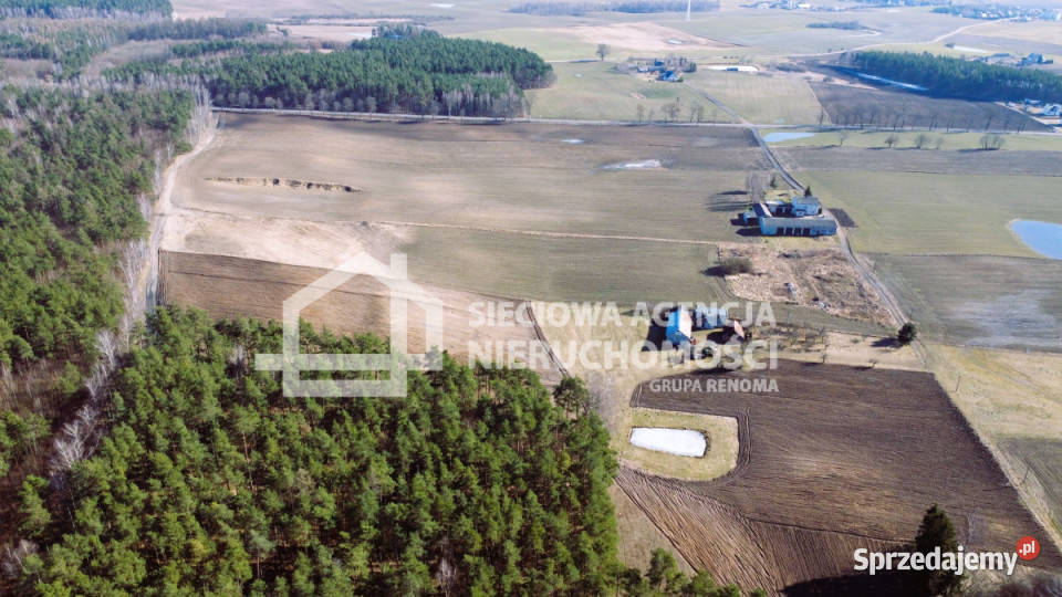 Grunt Lipinki Królewskie 24300m2 sprzedam