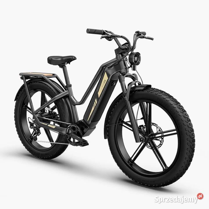 Fiido TITAN 2025 solidny niezastąpiony 55Nm 250W Elektryczne Tarnobrzeg sprzedam