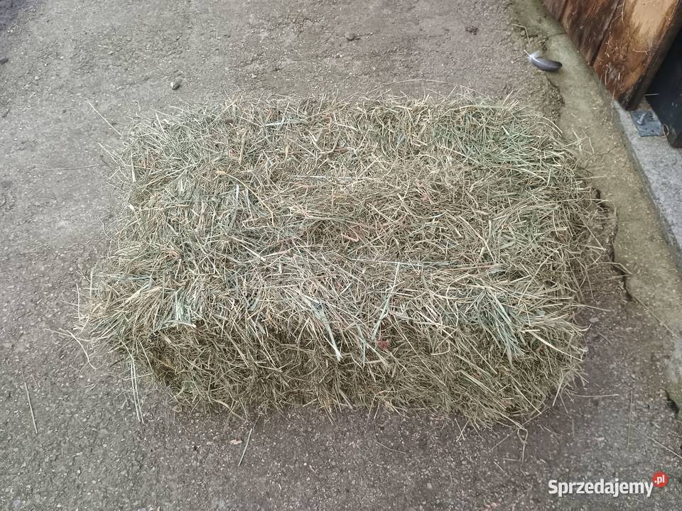 Sprzedam siano w kostkach Dęba