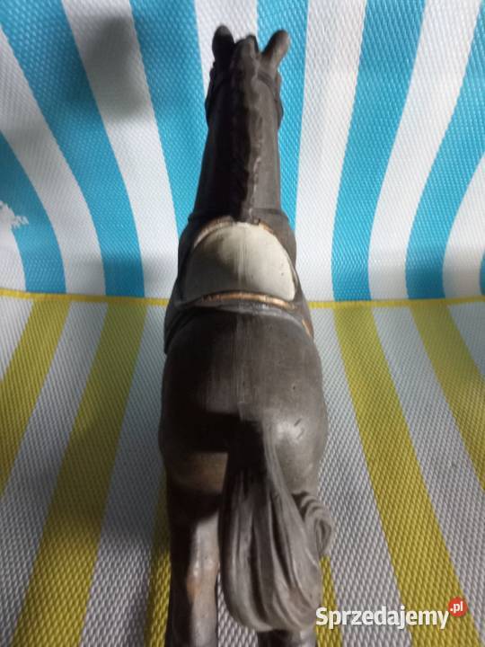 Konia sprzedam Borówno