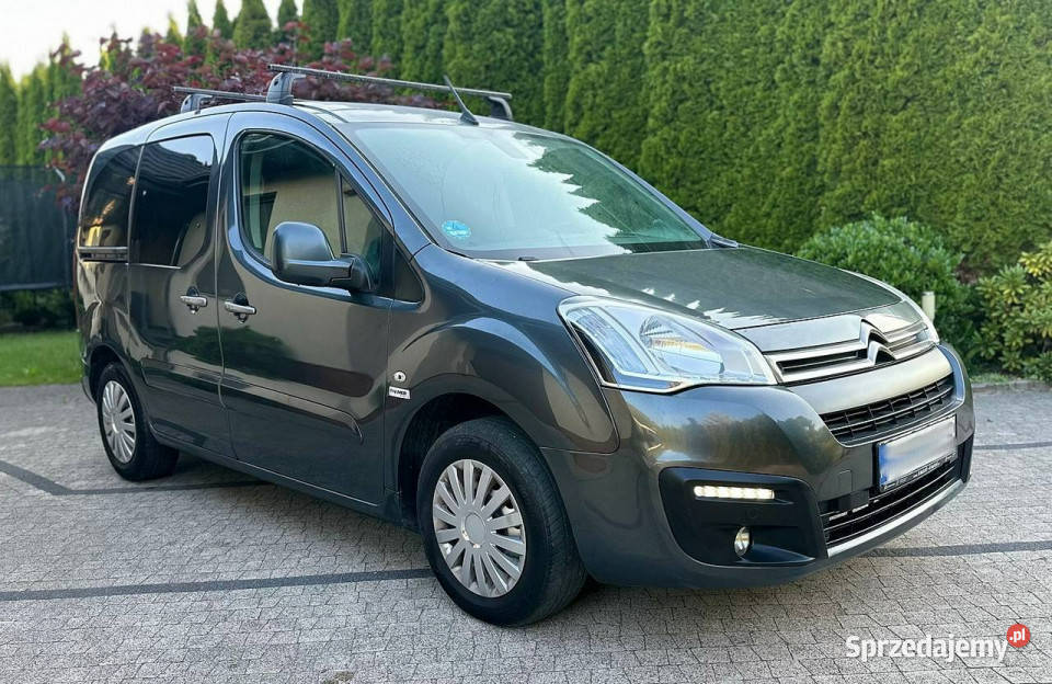 Citroen Berlingo Citron Berlingo Multispace