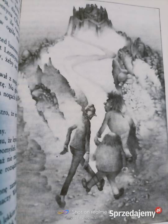 Boraczek ilustracja Borański książki pierwsze Książki i Podręczniki