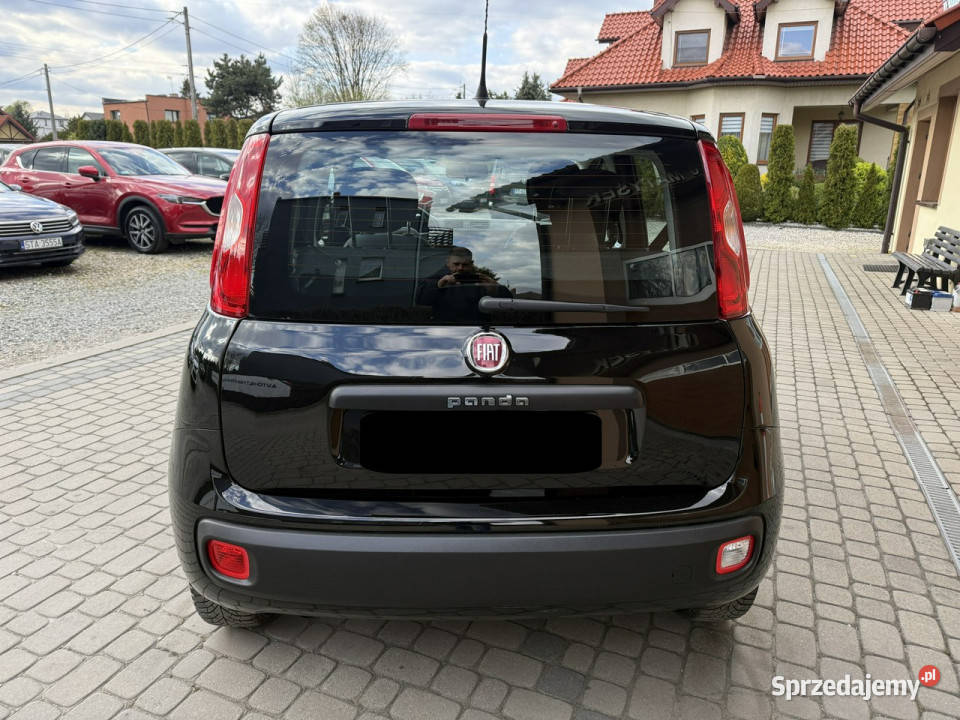 Fiat Panda 12 69 Klimatyzacja III 2011 wspomaganie kierownicy Orzech