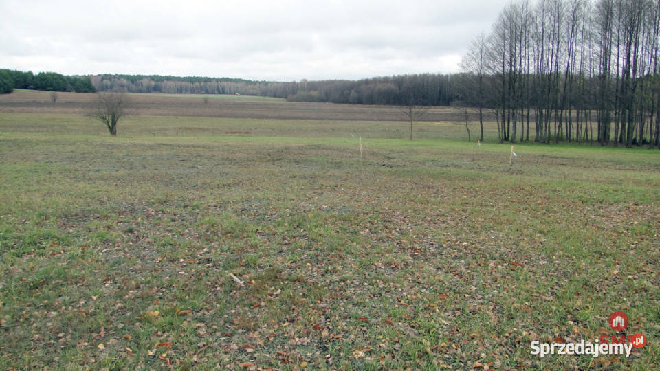 Grunt Tołcze 1000m2