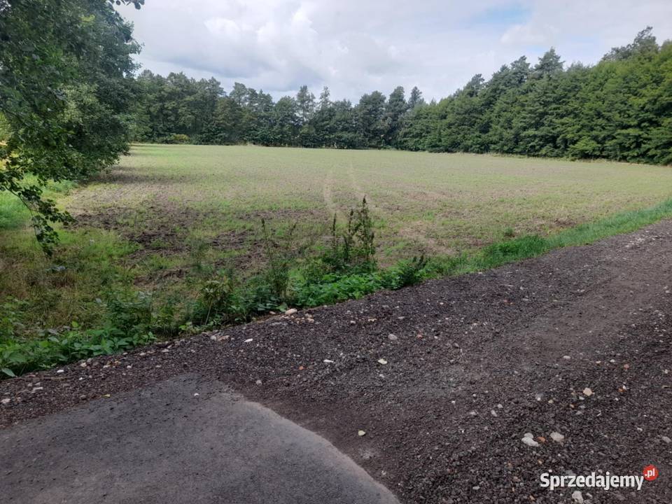 Działka budowlana 57 arów lesie cisza spokój budowlana
