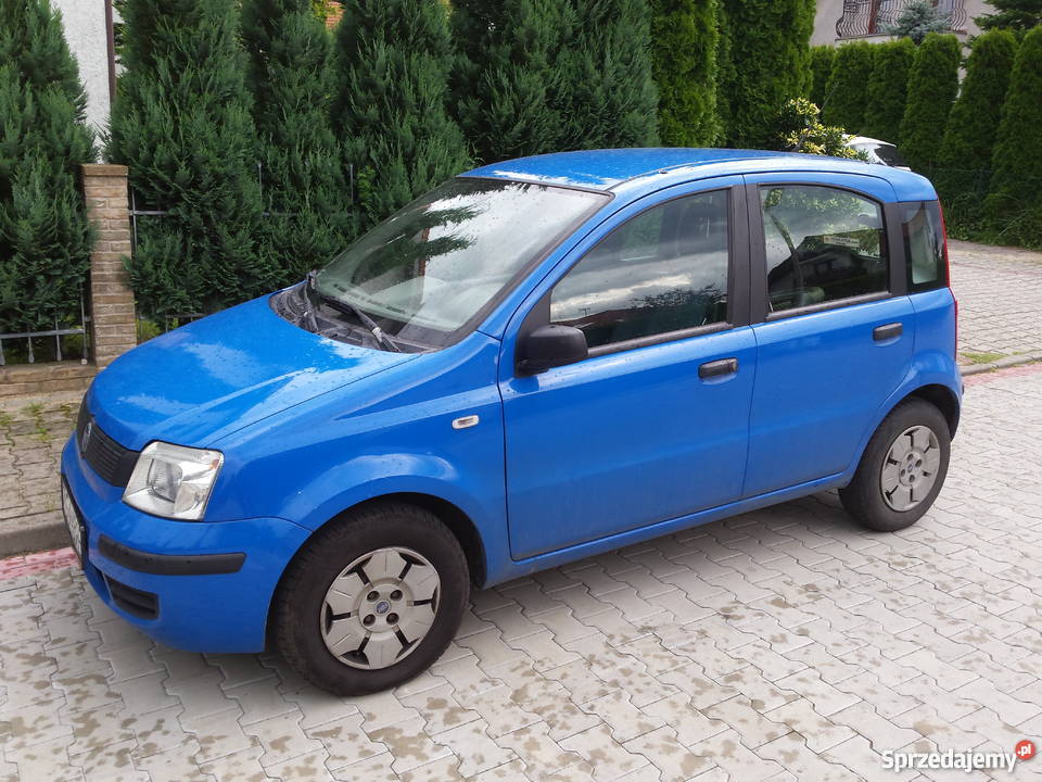 Fiat Panda Szczecin