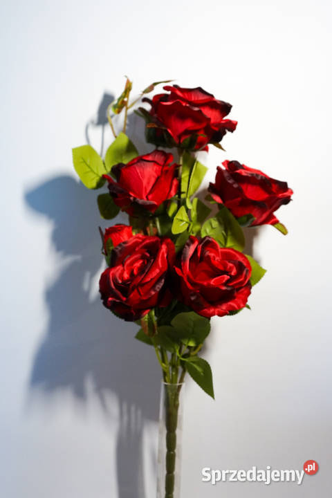 Bukiet róż w kolorze czerwonym Częstochowa sprzedam