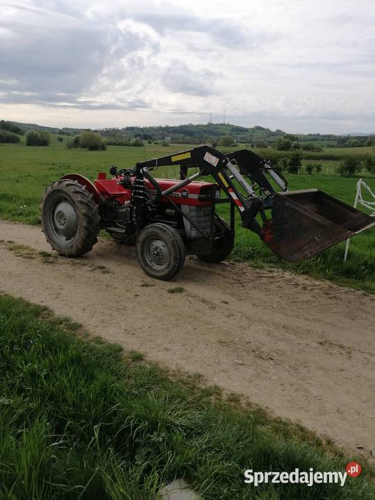 Massey ferguson 135 na zabytek do rej stan Ladzin