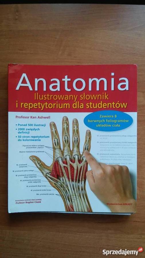 Anatomia Ilustrowany słownik i repetytorium