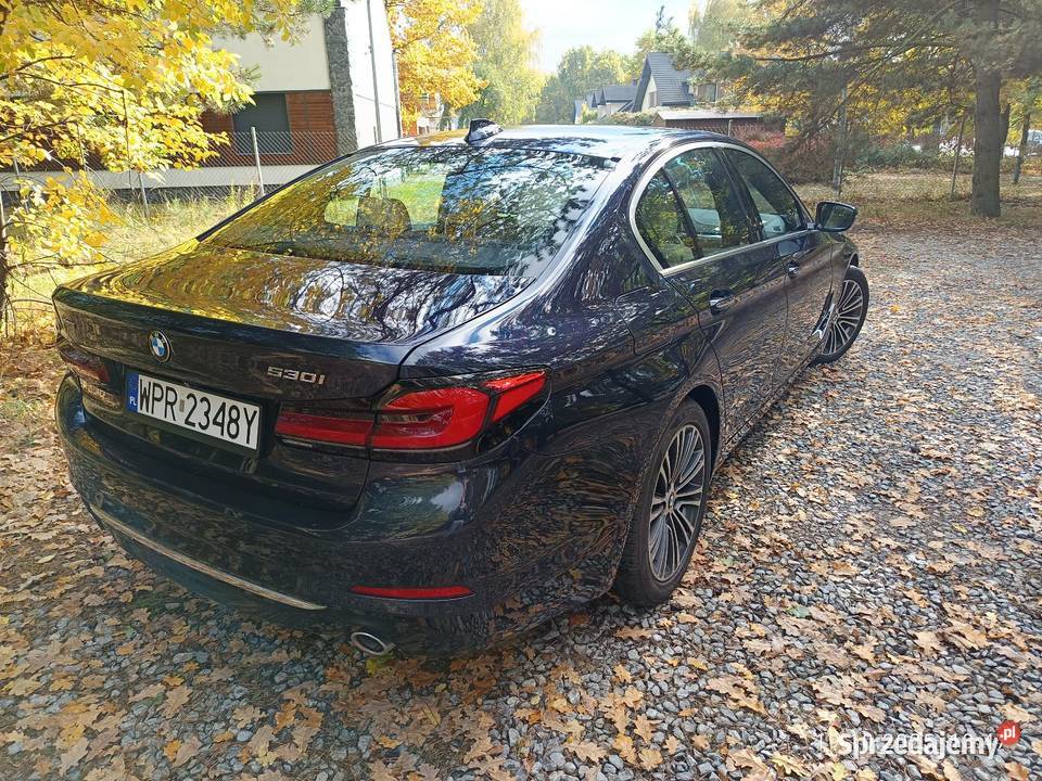 BMW Seria 5 G30 252 xDrive Luxury Line HUD