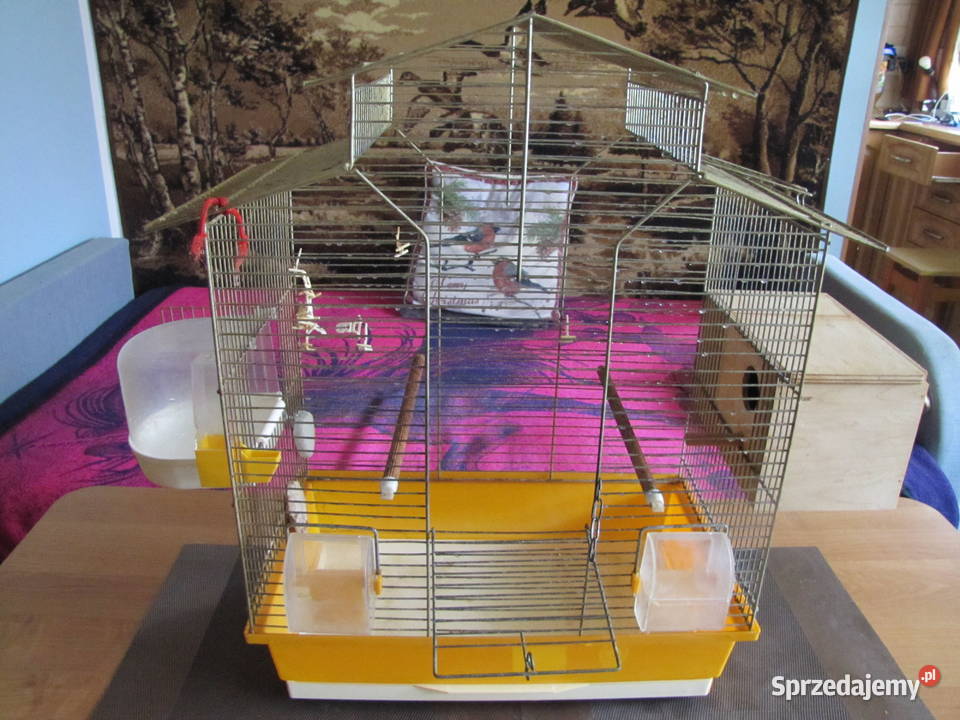 Klatka ptaków Toruń