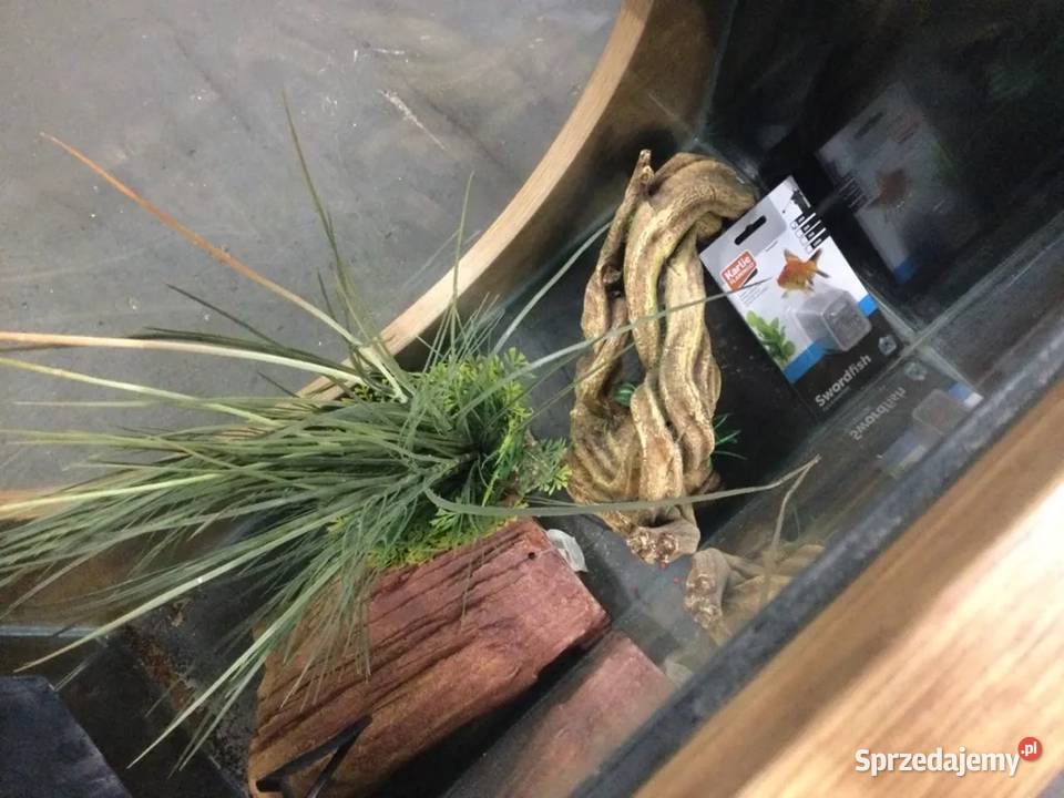 Akwarium w drewnianej obudowie Kozubszczyzna