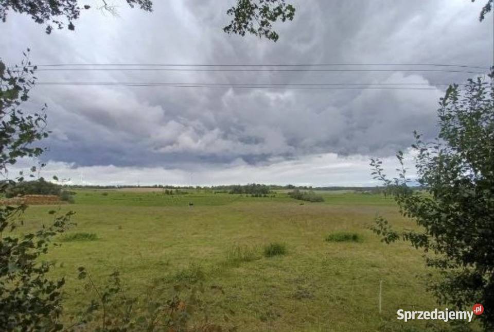 Działka asfalcieMożliwość zabudowy rolna Sprzedaż Matule
