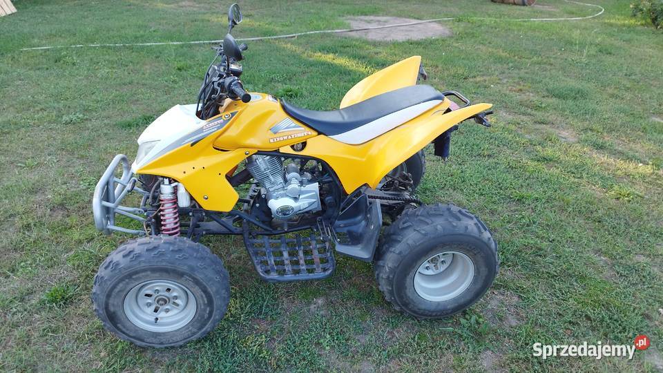 Quad Kingway 250 Rok produkcji 2006