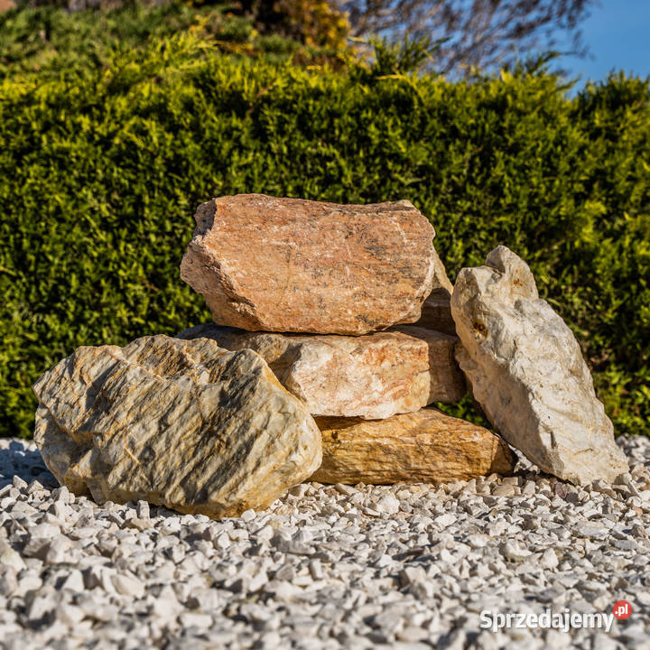 Kamień ogrodowy Gold Shein 2025 Micigózd