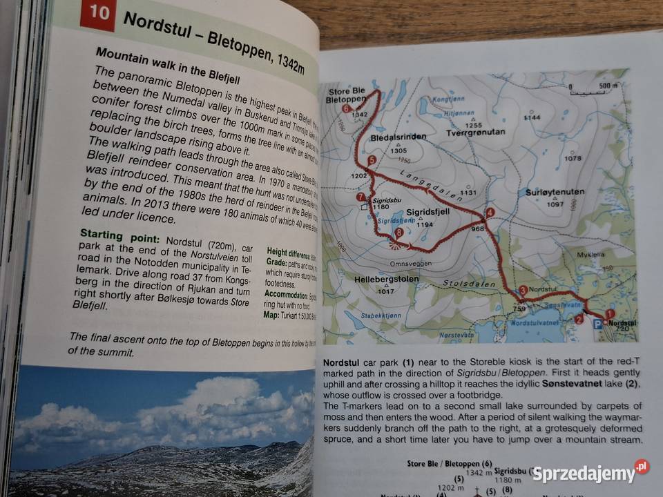 Norway SouthB Pollmann Rother miękka małopolskie