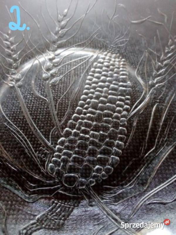 Piękne patery śląskie Częstochowa