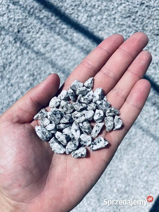 Grys Granitowy 28 mm Dalmatyńczyk Szary Granit Piaseczno
