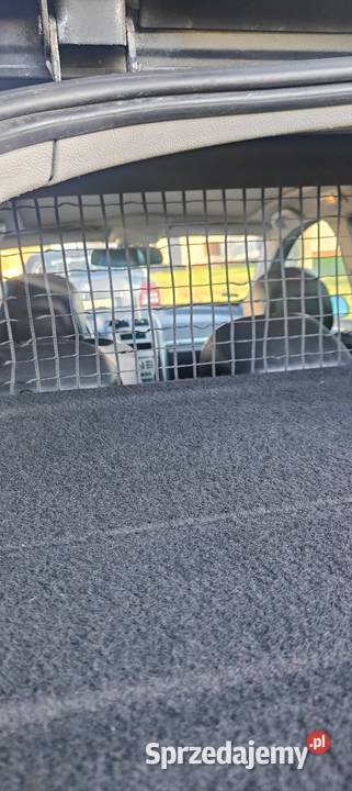 Peugeot 407 sw kurtyny powietrzne Kędzierzyn-Koźle sprzedam