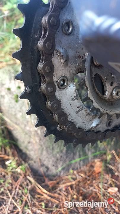 Alu Rower Górski Mtb Młodzieżowy Drive MTX 606 Wołów