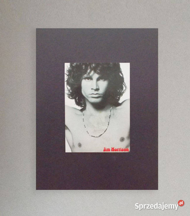 the doors plakat A4 Jim Morrison plakat plakat Opole